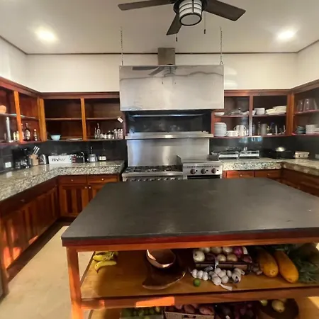 Little Harvest Caye - Your Own Private Island-2